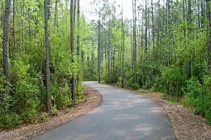 1741 S Sr 71, Kinard, FL 32449 - Photo 7
