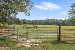 2822 River Rd, Vernon, FL 32462 - Photo 21
