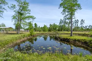 10408 Hwy 2301, Youngstown, FL 32466 - Photo 43