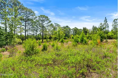 14322 Bonnie Girls Way, Panama City, FL 32409 - Photo 33