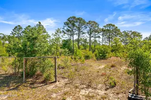 14322 Bonnie Girls Way, Panama City, FL 32409 - Photo 31