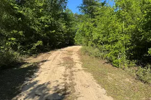 3651 River Rd, Sneads, FL 32460 - Photo 3