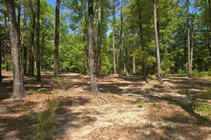 319 Clyde Brown Rd, Ponce de Leon, FL 32455 - Photo 33