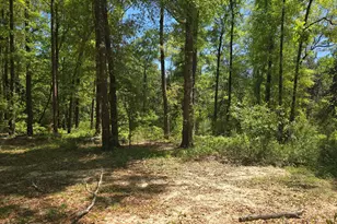 319 Clyde Brown Rd, Ponce de Leon, FL 32455 - Photo 35
