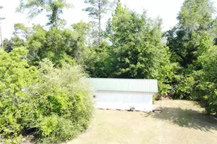 4070 McCall Ln, Marianna, FL 32448 - Photo 5
