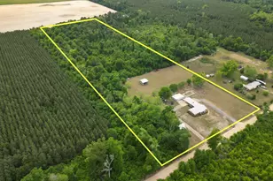 4927 Anderson Rd, Greenwood, FL 32443 - Photo 59
