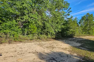 Lot 20 Gemini Circle, Chipley, FL 32428 - Photo 1