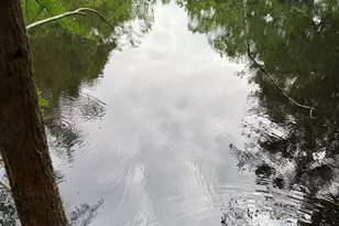 2187 Holley Timber Rd, Cottondale, FL 32431 - Photo 33