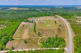 11842 SW State Road 73, Clarksville, FL 32430 - Photo 83