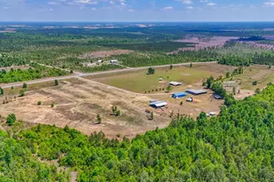 11842 SW State Road 73, Clarksville, FL 32430 - Photo 81