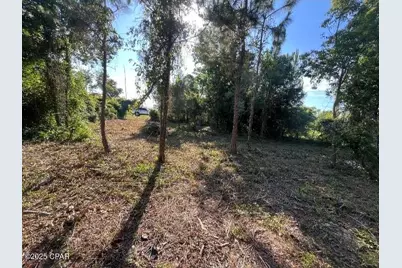 6420 Marvin Lane, Panama City, FL 32409 - Photo 5