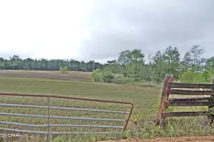 00 Express Rd, Grand Ridge, FL 32442 - Photo 1