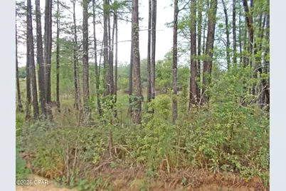 00 Express Road, Grand Ridge, FL 32442 - Photo 5
