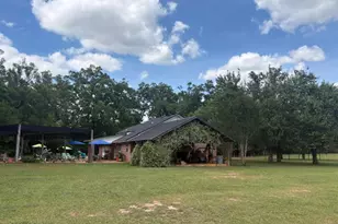 3761 Hwy 231, Cottondale, FL 32431 - Photo 15