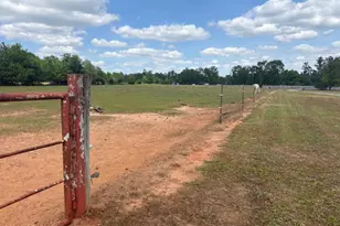 3761 Hwy 231, Cottondale, FL 32431 - Photo 33