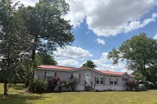 3761 Hwy 231, Cottondale, FL 32431 - Photo 69