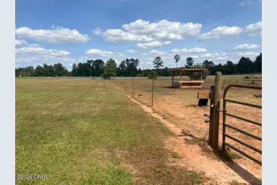 3761 Highway 231, Cottondale, FL 32431 - Photo 37