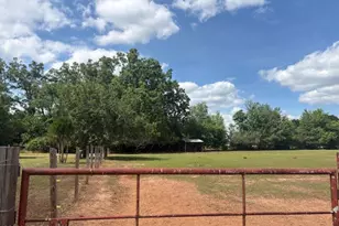 3761 Hwy 231, Cottondale, FL 32431 - Photo 35
