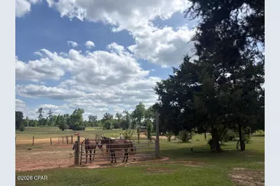 3761 Highway 231, Cottondale, FL 32431 - Photo 43
