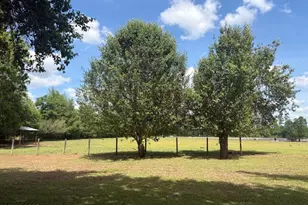 3761 Hwy 231, Cottondale, FL 32431 - Photo 5
