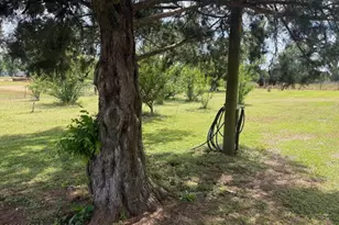 3761 Hwy 231, Cottondale, FL 32431 - Photo 39