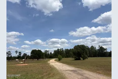 3761 Highway 231, Cottondale, FL 32431 - Photo 63