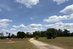 3761 Hwy 231, Cottondale, FL 32431 - Photo 63