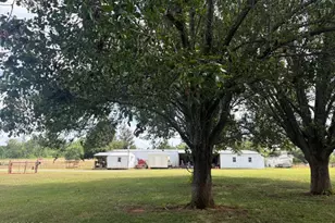 3761 Hwy 231, Cottondale, FL 32431 - Photo 17