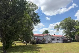 3761 Hwy 231, Cottondale, FL 32431 - Photo 71