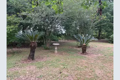 3761 Highway 231, Cottondale, FL 32431 - Photo 23