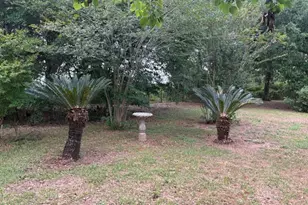 3761 Hwy 231, Cottondale, FL 32431 - Photo 23