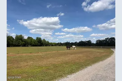 3761 Highway 231, Cottondale, FL 32431 - Photo 35