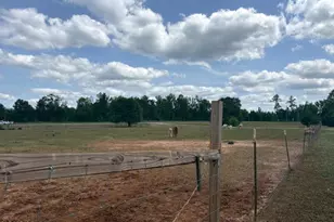 3761 Hwy 231, Cottondale, FL 32431 - Photo 81