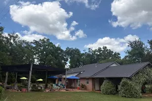3761 Hwy 231, Cottondale, FL 32431 - Photo 15