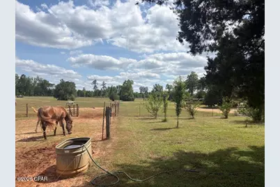 3761 Highway 231, Cottondale, FL 32431 - Photo 39