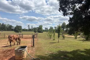 3761 Hwy 231, Cottondale, FL 32431 - Photo 39