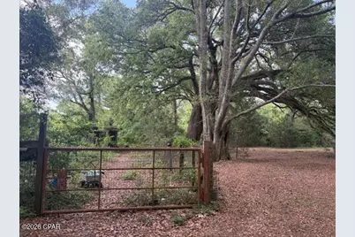 3761 Highway 231, Cottondale, FL 32431 - Photo 21