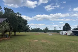 3761 Hwy 231, Cottondale, FL 32431 - Photo 17