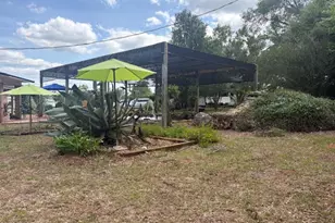 3761 Hwy 231, Cottondale, FL 32431 - Photo 11