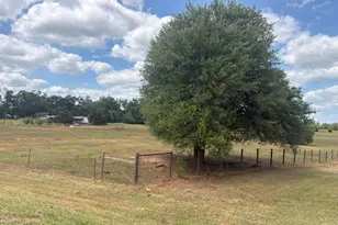 3761 Hwy 231, Cottondale, FL 32431 - Photo 59