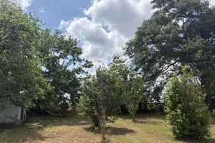 3761 Hwy 231, Cottondale, FL 32431 - Photo 77