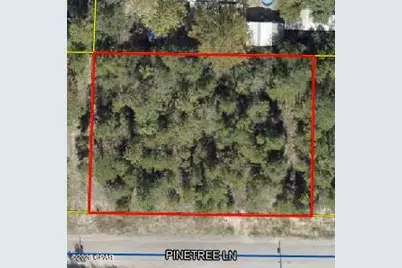 See Plot # N Pinetree Lane, Defuniak Springs, FL 32433 - Photo 1