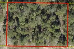 See Plot # N Pinetree Ln, Defuniak Springs, FL 32433 - Photo 1
