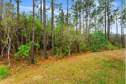 224 Butler Cove, Panama City Beach, FL 32413 - Photo 41