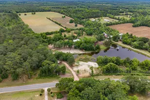 2277 Hwy 173, Bonifay, FL 32425 - Photo 27