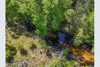 13663 Edith Hite Drive, Fountain, FL 32438 - Photo 3