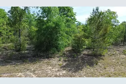 Lot 2 Baypoint Drive, Chipley, FL 32428 - Photo 7