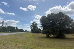 2912 Rock Btm Dr, Cottondale, FL 32431 - Photo 5