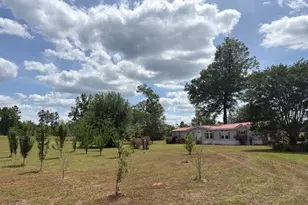 2912 Rock Btm Dr, Cottondale, FL 32431 - Photo 25