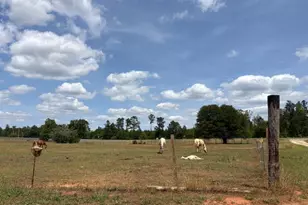 2912 Rock Btm Dr, Cottondale, FL 32431 - Photo 15